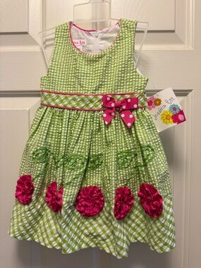 Jessica Ann Green Gingham Dress with Pink Flowers